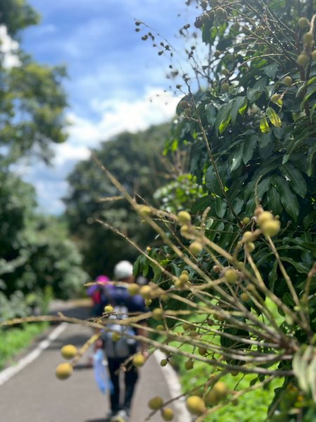 🌈6/22(日) 南投-中興新村-虎山步道✨FB：熊熊趴爬走🌈2818314