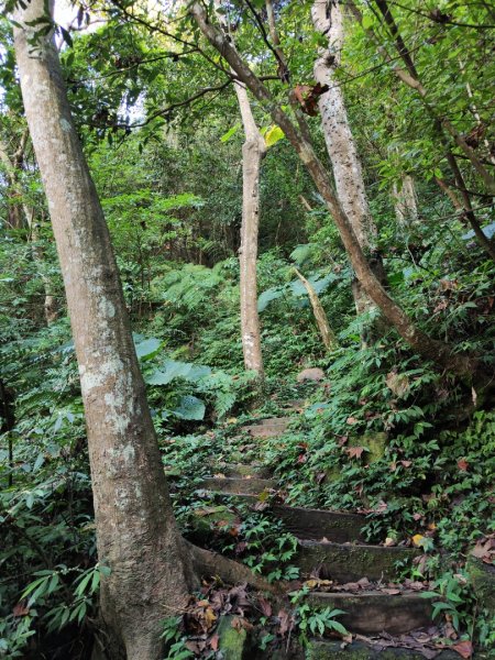 2023.12.14 土城天上山2827288