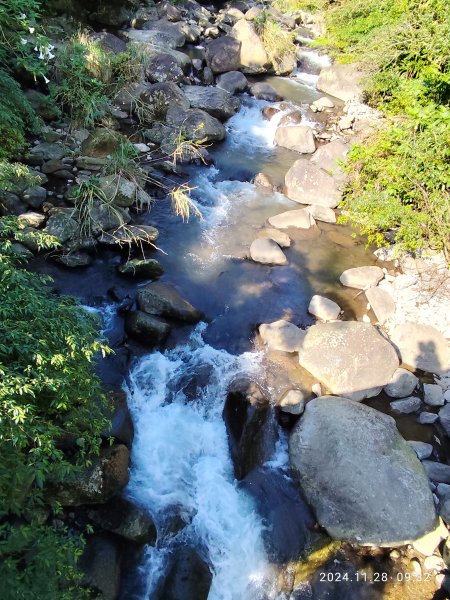 坪頂古圳環狀步道→清風亭→鵝尾山步道【走遍陽明山】2658298