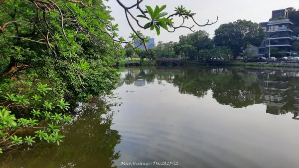 《台北》城市晨運｜南港公園後山埤公園O繞202505232795835