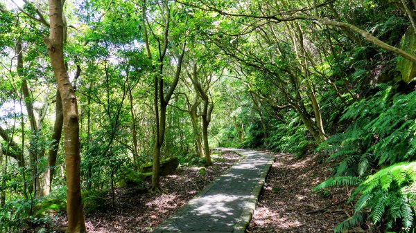 內雙溪自然中心2808684