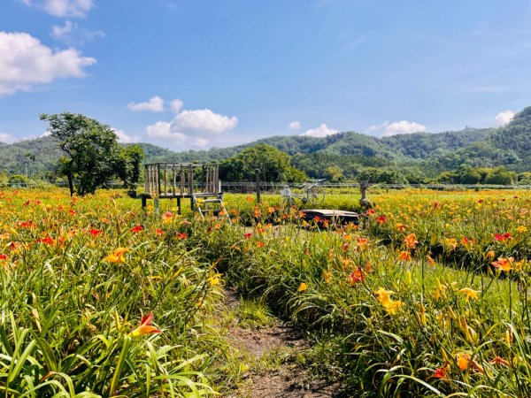 頭社活盆地2691005