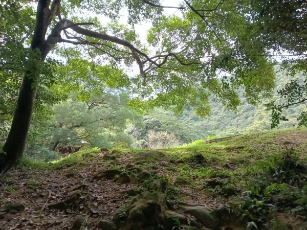 汐止區夢湖保線路+單車夢湖路O型2894143