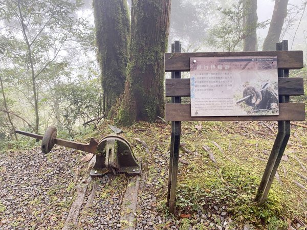 漫步雲霧中的見晴懷古步道    2021/11/161521006