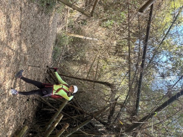高雄美濃月光山2734911