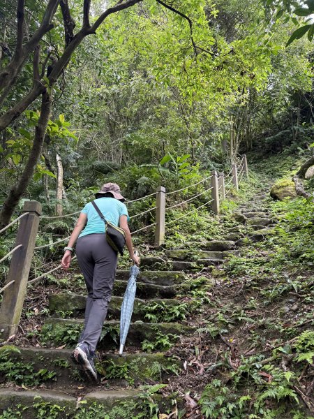 天上山+大棟山 2025.07.202864419