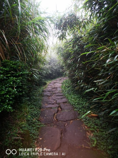 七星山主峰、東峰582763