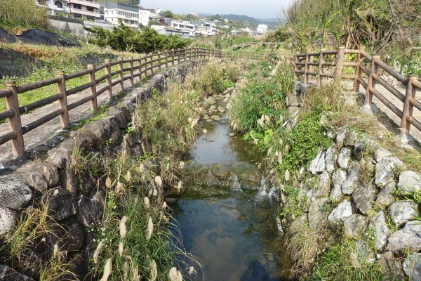 鵝尾山梯田3086947
