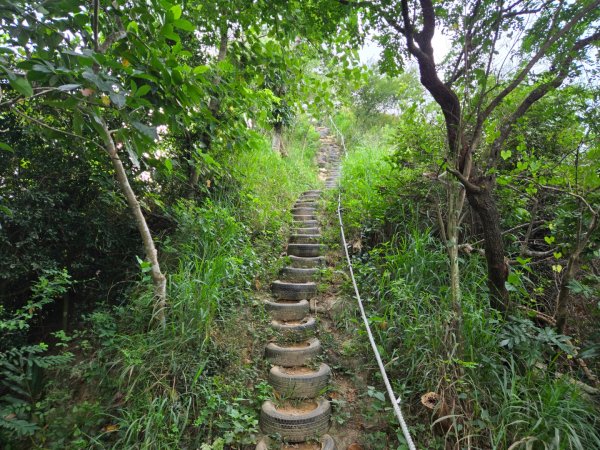 大社觀音山十三連峰環形2924408