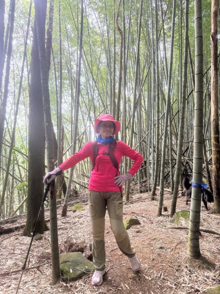 溪頭山、竹崙山、志騰山、妖怪村2877880