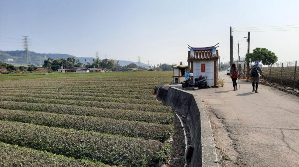 《彰化》社頭18彎古道上橫山＋山湖步道O型202102281287534