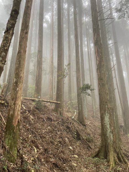 麥巴來山~五峰最美的山...1697175