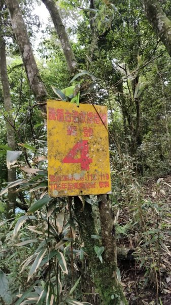 2025/6/14 橫龍山2839240