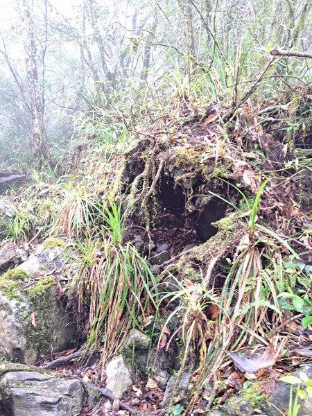 砂卡礑二日行D1：得卡倫步道→大禮部落→砂卡礑林道→立霧山→大同部落202312022368271