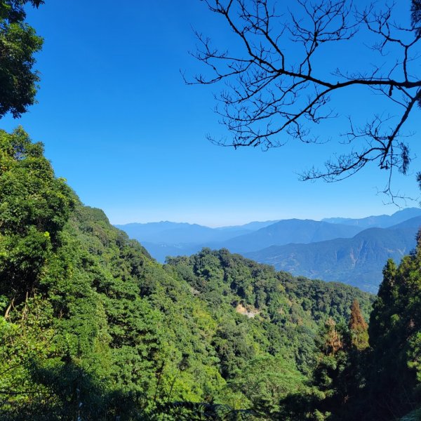 溪頭鳳凰山隆田線（小百岳）2350877