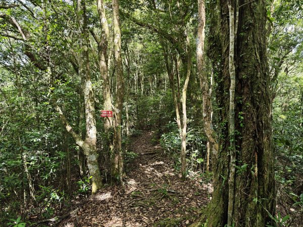 2025_0601 赫威山2802314