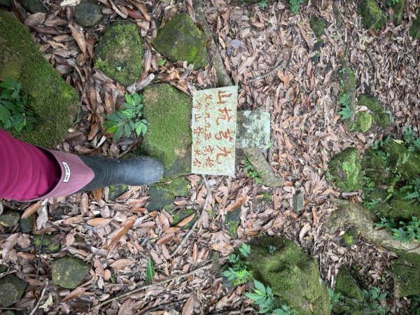 20250518 玉桂嶺山 》司公髻尾山 》九芎坑山》 豬厝步道口  （ 大坪產道）2791946