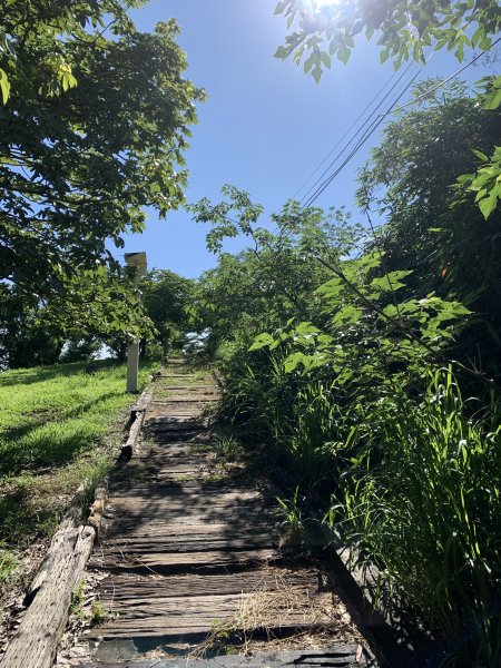 20250628高雄望雲山-尚書林山2826294
