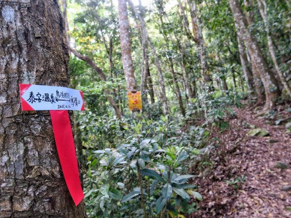 水雲三星 鳳山-鳥嘴山（上島山）1648053