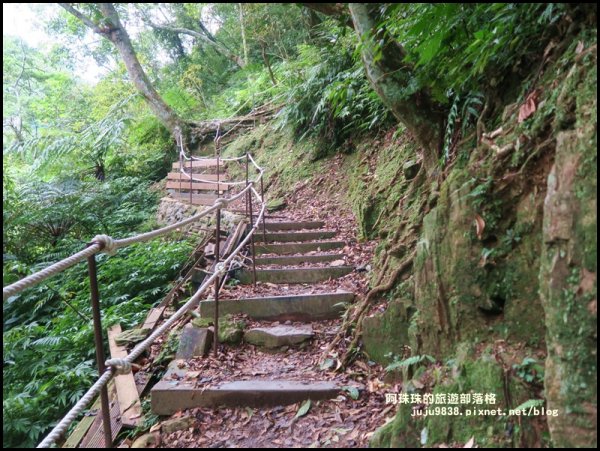 烏來內洞國家森林遊樂區觀瀑步道618594