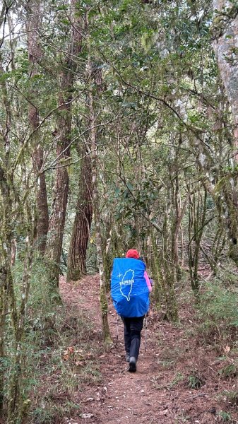 秀林塔次基里溪古關原3027631