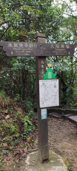 大崙頭山自然步道2368300