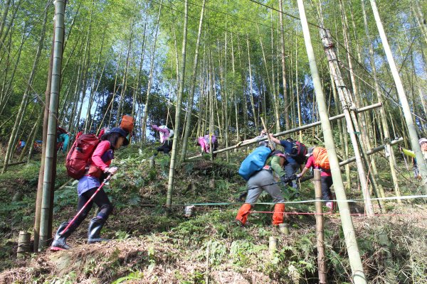 20210926南投圓山坑林道登鳳凰山下忘憂森林1473468