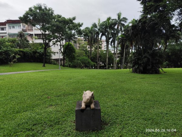 內湖瑞光公園3083342