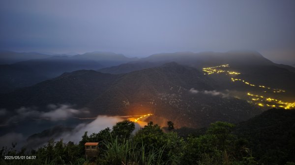 翡翠水庫壩頂 #火燒雲雲海 #日出雲海 #鱷魚島 #藍腹鷴 4/292773773