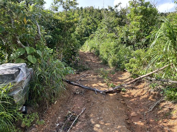 蘭嶼大天池2866712