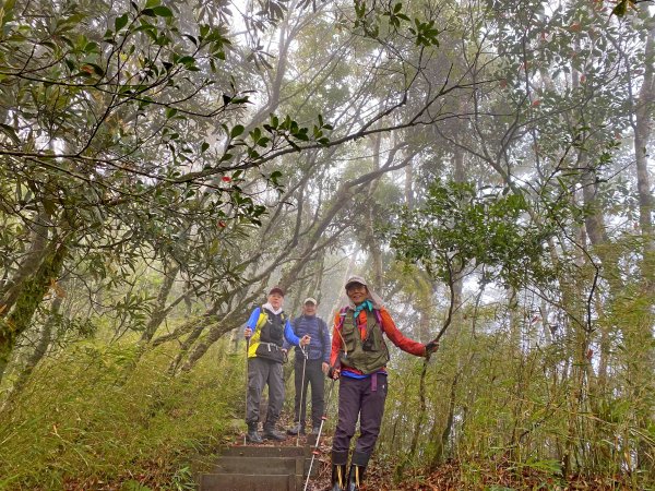 魯壁山、東穗山、島田三山、高台山縱走  881720
