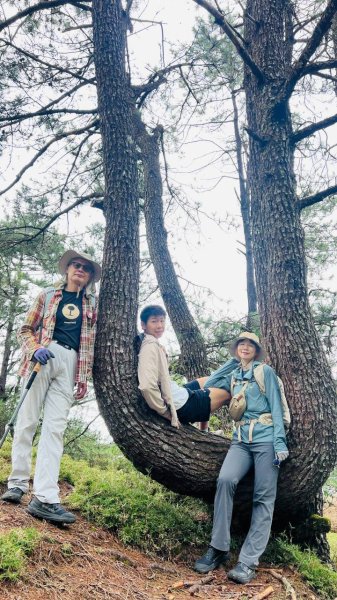 🌈9/13(日)塔加三連峰-麟趾山×鹿林前山×鹿林山FB：熊熊趴爬走(富裕登山社)🌈3118904