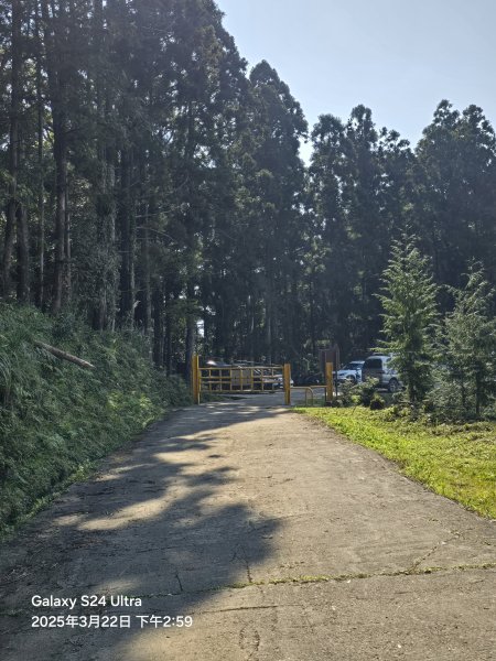 2025-03-22油羅山步道2743449