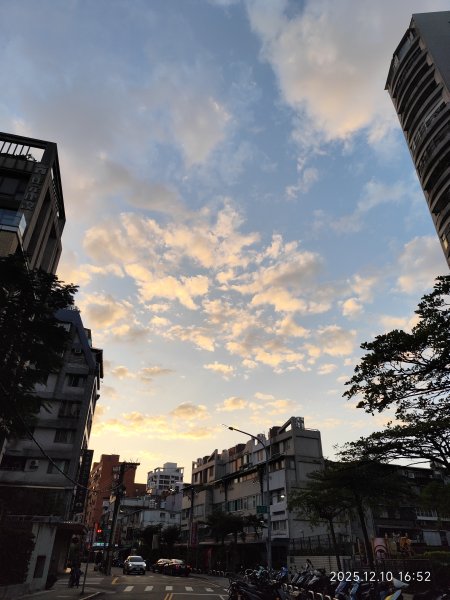 【臺北大縱走 2】【第二回合全程完成證書】鞍部→大屯山步道→大屯山主峰→大屯坪步道→二子坪步道2960341