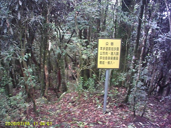 大雪山林道橫嶺山步道、橫嶺山、沙蓮山、笛吹山O繞3090400