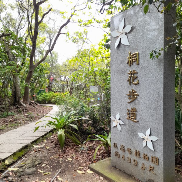 小百岳No.26⛰十八尖山2401691