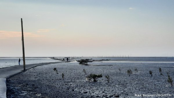 《彰化》海空夕陽｜芳苑海空步道濕地紅樹林202401072397733