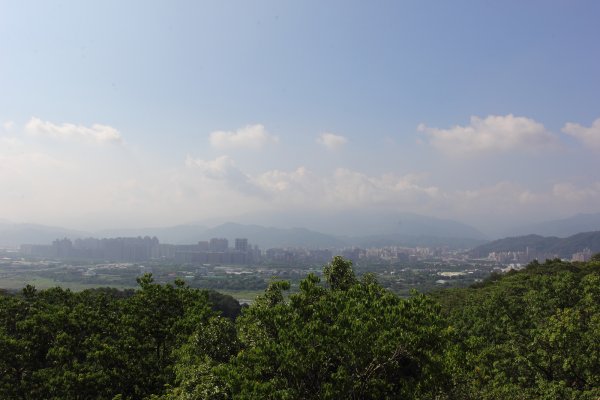 鶯歌碧龍宮.龜公山.牛灶坑山.鶯歌石695322