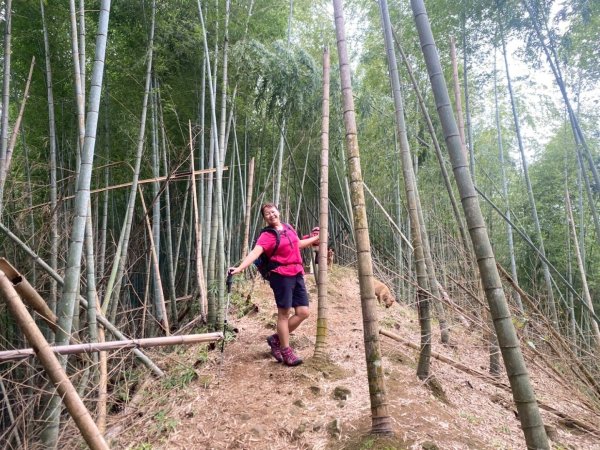 溪頭山、竹崙山、志騰山、妖怪村2877922