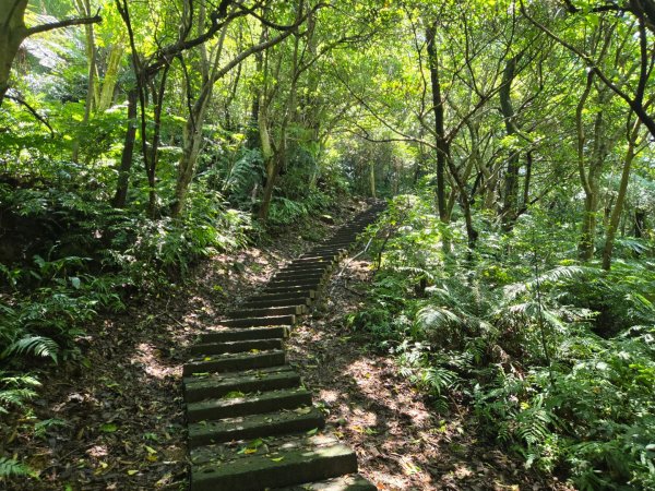 火焰山、天上山（小百岳）O繞3076321