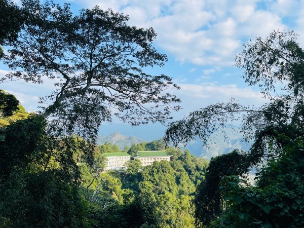 1141207金童山2957733