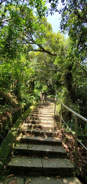 2020/07/04臺北大縱走第六段：中華科技大學至捷運麟光1165144