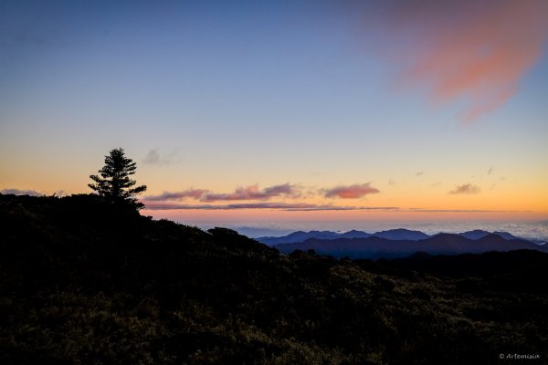 [冬訪大霸聖山岳參行]-榮耀桂冠B'bu' Papak聖稜精選輯2974742