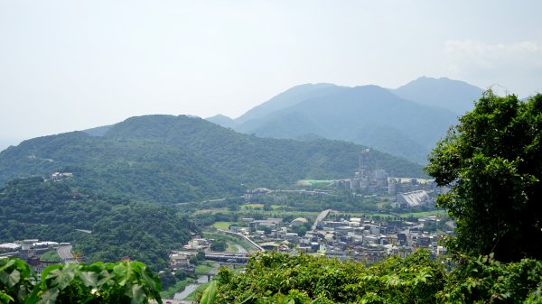 20200414七星嶺步道 星嶺公園1495655