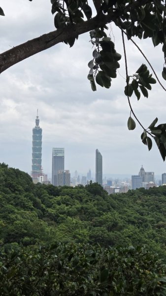 20260808 虎山親山步道3099955