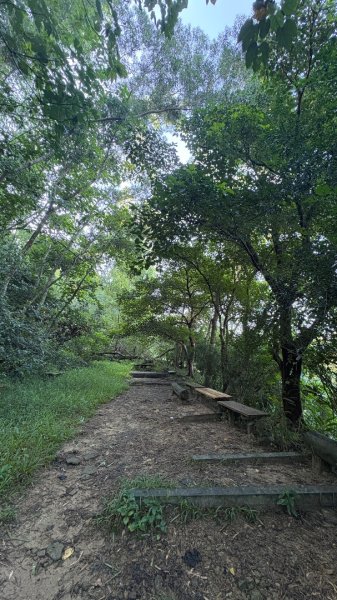 美濃雙溪樹木園（九芎林山2905620