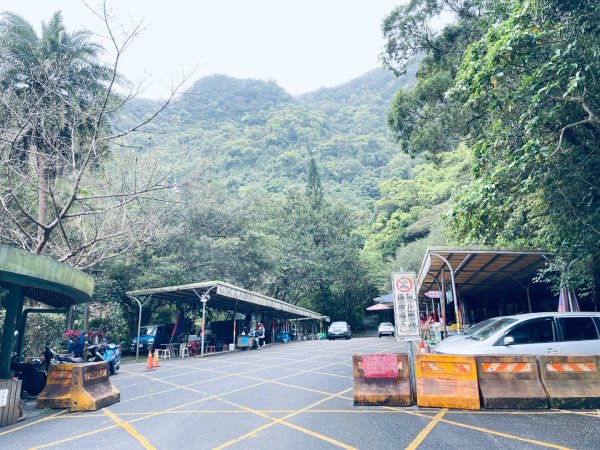 20250329 抹茶山-聖母登山步道2758925