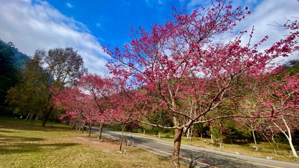 越野單車勇闖北港溪峽谷2998365