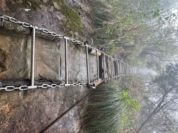 皇帝殿202603293035835