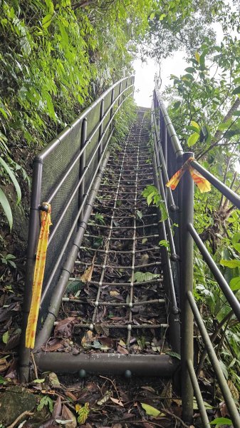 20251115冷水大山-頂中股山2936645